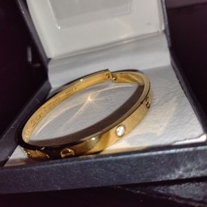 Cartier love bracelet